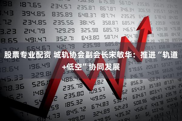 股票专业配资 城轨协会副会长宋敏华：推进“轨道+低空”协同发展